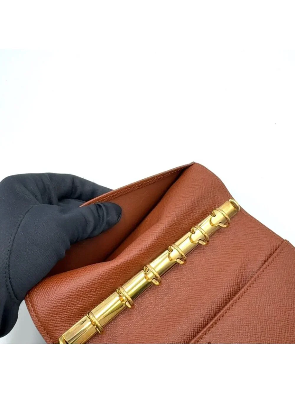 Louis Vuitton brand louis